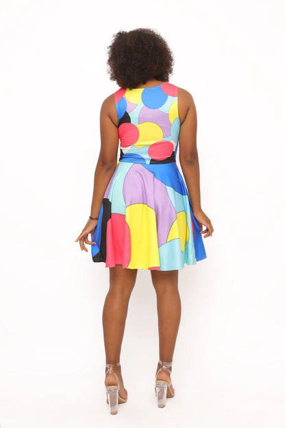 Rembrandt Women's Skater Dress