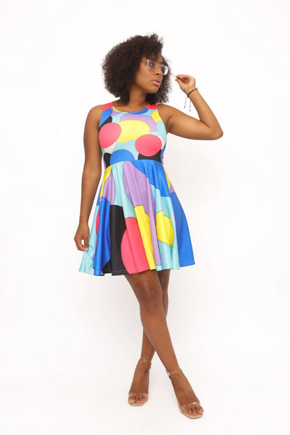 Rembrandt Women's Skater Dress
