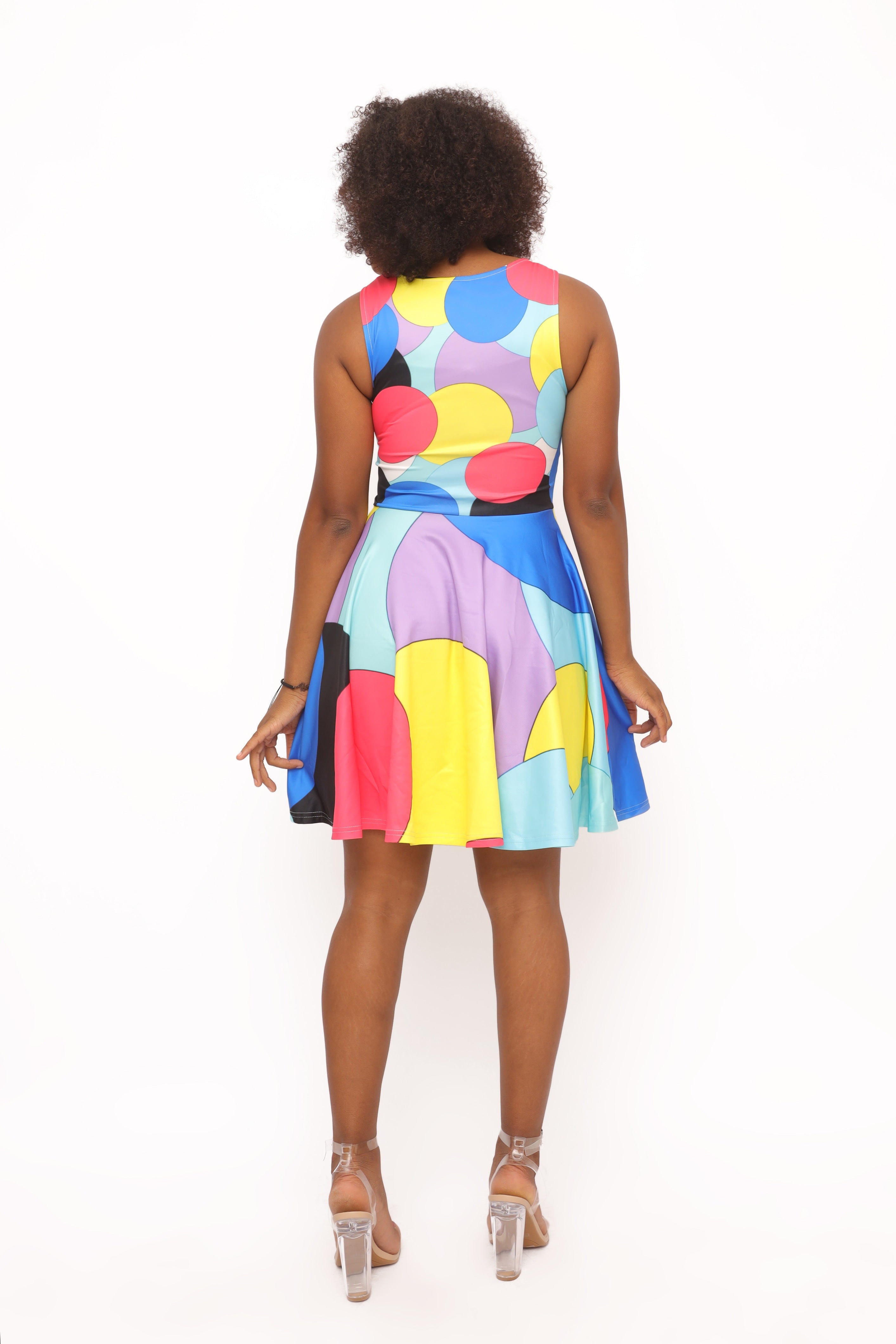 Rembrandt Women's Skater Dress