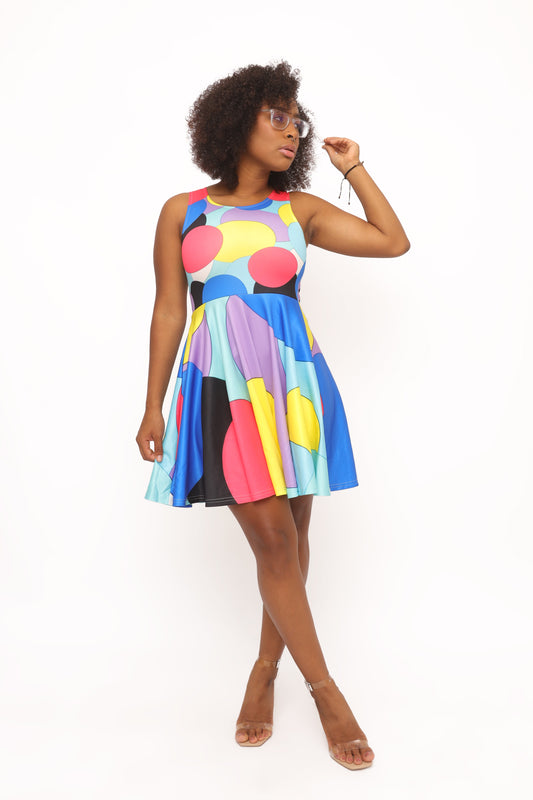 Rembrandt Women's Skater Dress